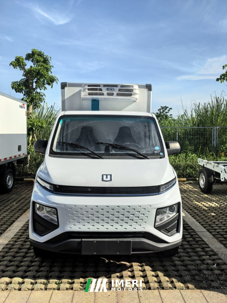 2025 Farizon T9M