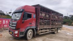 Foton R 200 hp 4X2 5.25 m - ფოტო 3