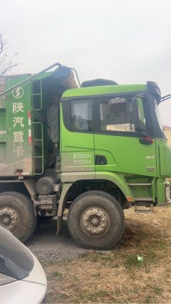 Shacman Delong X3000 430 hp 8X4 8 m - photo 3