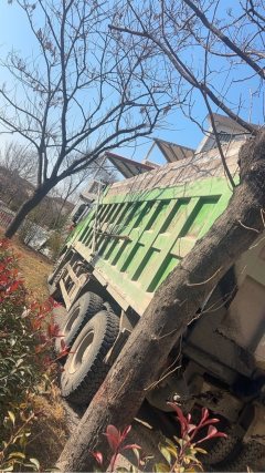Shacman Delong X3000 430 hp 8X4 8 m - photo 4