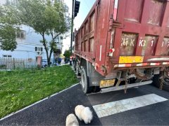 Sinotruk Steyr D5 220 hp 4X2 4.7 m - ფოტო 5