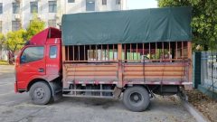 Dongfeng Duolika Dollicar D6 140 hp 4X2 3.8 m - ფოტო 4