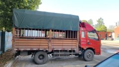 Dongfeng Duolika Dollicar D6 140 hp 4X2 3.8 m - ფოტო 5