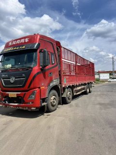 Dongfeng Tianlong KL 465 hp 8X4 9.4 m - ფოტო 1