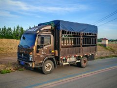SINOTRUK HOWO Light Duty Truck Commander 160 hp 4X2 4.2 m - ფოტო 1