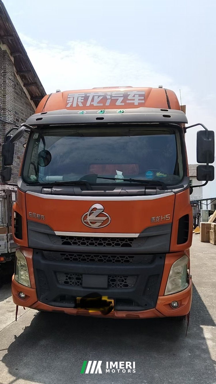 Dongfeng Liuzhou Chenglong H5 240 hp 6X2 9.6 m - სატვირთო ჩინეთიდან