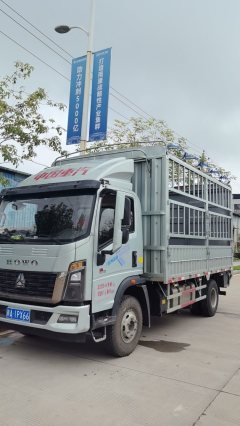 SINOTRUK HOWO Light Duty Truck Commander 190 hp 4X2 - ფოტო 5