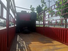 FAW Jiefang JH6 420 hp 8X4 9.5 m - ფოტო 4