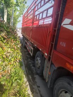 FAW Jiefang JH6 420 hp 8X4 9.5 m - ფოტო 9