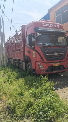 Dongfeng Tianlong KL 350 hp 6X2 9.6 m - ფოტო 2