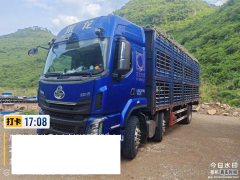 Dongfeng Liuzhou Chenglong H7 - ფოტო 1