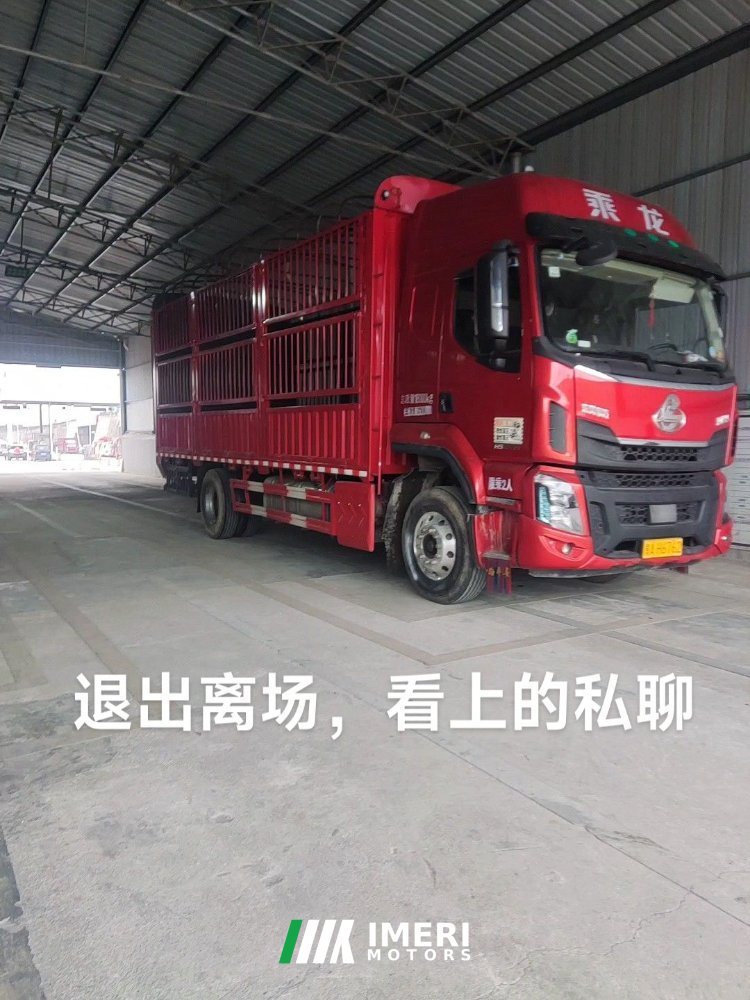 Dongfeng Liuzhou Chenglong H5 200 hp 4X2 6.8 m - სატვირთო ჩინეთიდან