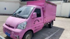 Wuling 99 hp 4X2 2.59 m - ფოტო 1