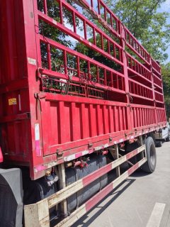 Shacman Delong L5000 240 hp 4X2 6.8 m - ფოტო 3