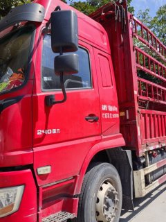 Shacman Delong L5000 240 hp 4X2 6.8 m - ფოტო 2