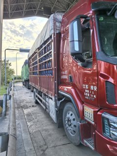 Dongfeng Liuzhou Chenglong H5 270 hp 4X2 6.8 m - ფოტო 3