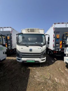 Farizon E200 136 hp 4X2 4.2 m - ფოტო 1