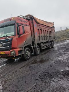 Foton Auman GTL 360 hp 8X4 7.6 m - ფოტო 1