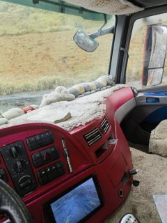 Foton Auman GTL 360 hp 8X4 7.6 m - ფოტო 6