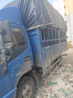 JAC Kangling H3 156 hp 4X2 4.15 m - ფოტო 5