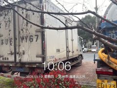 Foton Aumark S1 166 hp 4X2 3.9 m - ფოტო 2