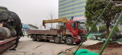 Dongfeng Liuzhou Chenglong H5 350 hp 6X4 5.6 m - photo 3