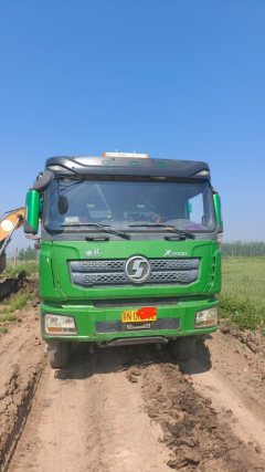Shacman Delong X3000 550 hp 8X4 8.8 m - ფოტო 3