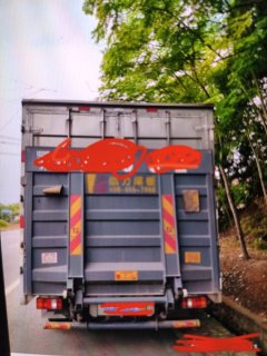 SINOTRUK HOWO Light Duty Truck Commander 160 hp 4X2 4.15 m - ფოტო 3