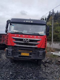 SAIC Hongyan 390 hp 8X4 6.5 m - photo 1
