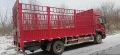 Dongfeng Liuzhou Chenglong H5 240 hp 4X2 6.8 m - ფოტო 3