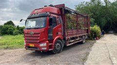 FAW Jiefang J6L 260 hp 4X2 6.8 m - ფოტო 1