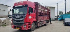 JAC Gallop Gelfa A5 240 hp 4X2 6.8 m - ფოტო 2