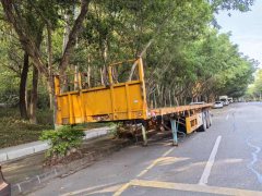 13 m x2.4 m 3 flatbed semi-trailer - ფოტო 1