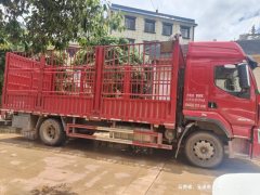 Dongfeng Liuzhou Chenglong H5 270 hp 4X2 6.2 m - ფოტო 3