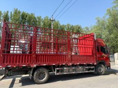 FAW Jiefang J6L 240 hp 4X2 6.2 m - ფოტო 4