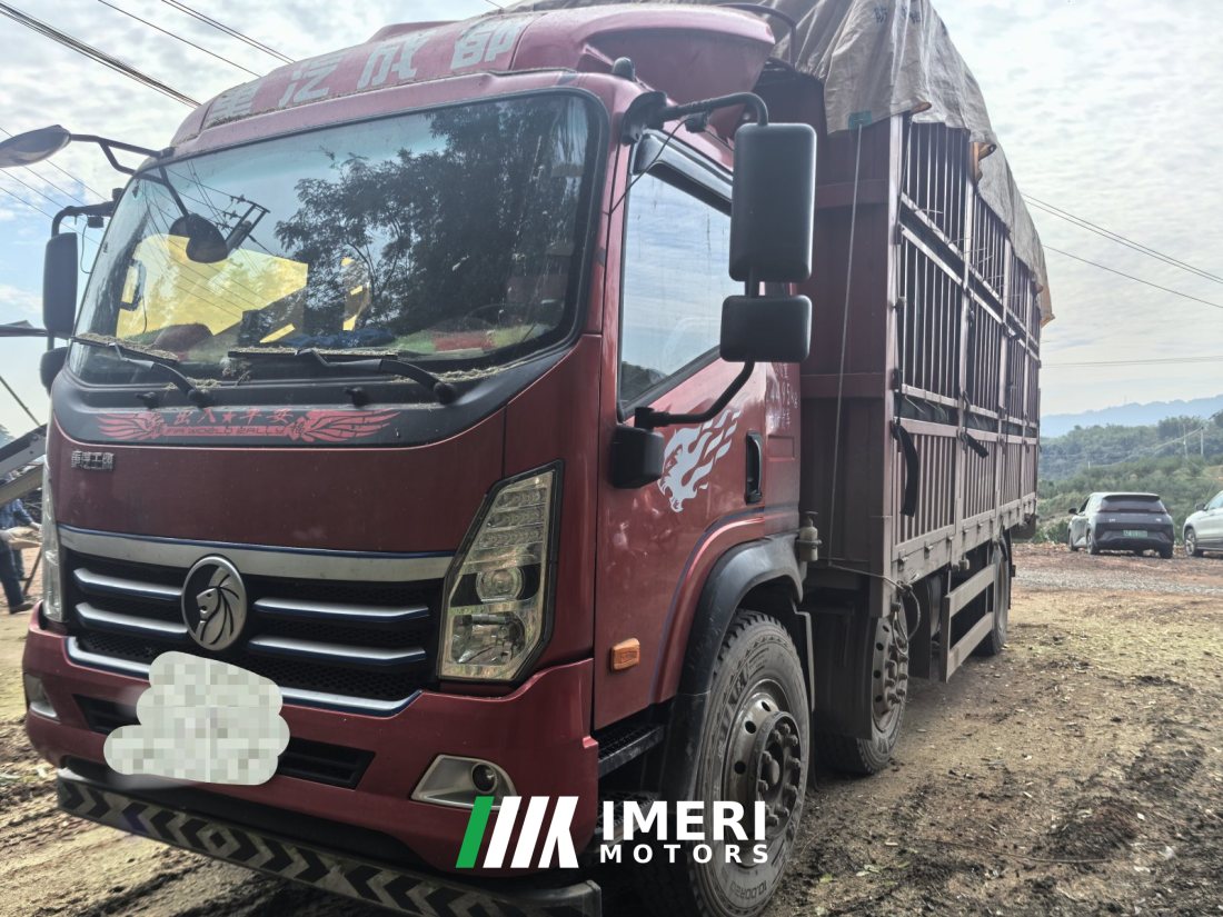 Sinotruk Lion automobile 220 hp 4X2 6.8 m - სატვირთო ჩინეთიდან
