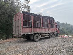Sinotruk Lion automobile 220 hp 4X2 6.8 m - ფოტო 5