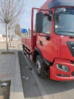 Dongfeng Tianjin KR 260 hp 4X2 6.8 m - ფოტო 3