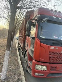 FAW Jiefang J6P 500 hp 6X4 - ფოტო 2