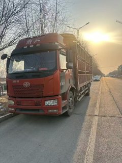 FAW Jiefang J6P 500 hp 6X4 - ფოტო 3