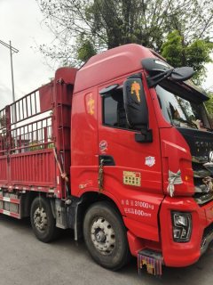 SAIC Hongyan Genlyon 460 hp 8X4 9.6 m - ფოტო 7