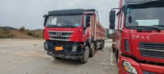 SAIC Hongyan Genlyon 450 hp 8X4 8.6 m - photo 5