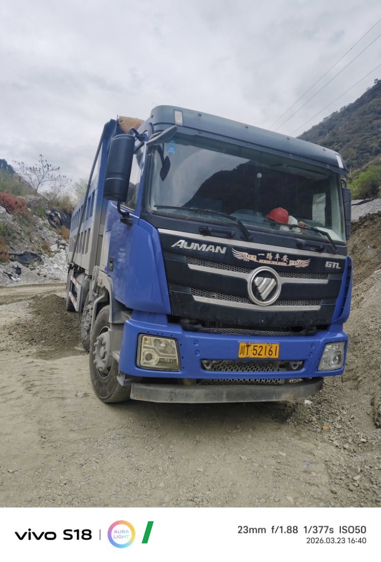 2020 Foton Auman GTL 460 hp 8X4 7.4 m