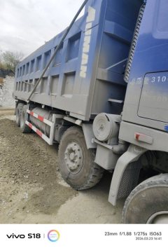 Foton Auman GTL 460 hp 8X4 7.4 m - photo 3