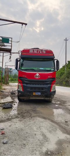 Dongfeng Liuzhou Chenglong H7 500 hp 8X4 8.6 m - ფოტო 5