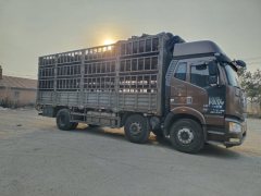 FAW Jiefang J6P 280 hp 6X2 7.7 m - ფოტო 1