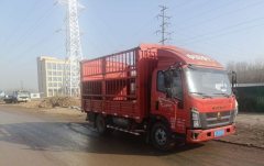 SINOTRUK HOWO Light Duty Truck Hanjiang 160 hp 4X2 4.2 m - ფოტო 3