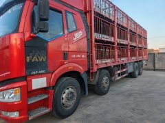 FAW Jiefang J6P 460 hp 8X4 9.5 m - ფოტო 3