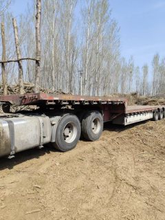 FAW Jiefang J6P 420 hp 6X4 - ფოტო 4