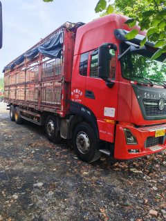 Dongfeng Tianlong KL 465 hp 8X4 9.6 m - ფოტო 3